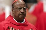 Cardinal Napier : »Demander pardon aux gays ? Que Dieu nous sauve du politiquement correct »