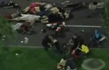 Carnage à Nice : peut-être une centaine de morts selon Eric Ciotti