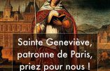 Abbé Petrucci : Sainte Geneviève, sauvez-nous !