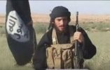 Le terroriste islamique Al-Adnani a été abattu à Alep par un avion russe – Analyse