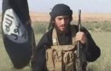 Le terroriste islamique Al-Adnani a été abattu à Alep par un avion russe – Analyse