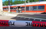 Attaque d’un train suisse : un homme poignarde six passagers et tente de mettre le feu au train