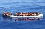 Même l’ONU dément la gauche : les migrants ne sont pas des réfugiés