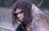 Délire scientifique : faire renaître l’homme de Néandertal ?