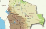 Bolivie : une religieuse de 81 ans violée dans un contexte de pression pour s’emparer de terrains appartenant à l’Eglise catholique
