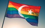 Les Émirats arabes unis convertis à l’idéologie transgenre et au nouvel ordre sexuel mondial