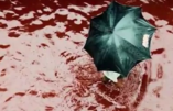 Des rivières de sang d’animaux égorgés par les musulmans coulent dans les rues de Dacca