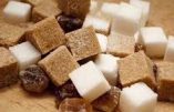 Qui se sucre sur le sucre ?