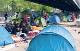Un millier d’immigrés illégaux de Calais campe déjà à Paris depuis le démantèlement de la Jungle