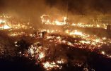La jungle de Calais brûle car incendier sa maison, c’est une « tradition » chez les migrants