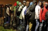 Le Royaume-Uni blinde ses frontières : bateaux et vols militaires anti-migrants