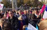 François Fillon et Guillaume Peltier conspués pendant les discours à la Manif pour Tous