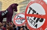 La Wallonie bloque toujours le CETA