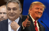 Nouvelles alliances : Donald Trump invite Viktor Orban à Washington
