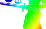 Totalitarisme LGBT : l’inversion des preuves