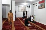 Menaces des musulmans en Italie : « redonnez-nous nos mosquées illégales ou nous prierons Allah au Vatican »