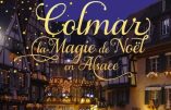 Les artisans font le succès du Marché de Noël de Colmar