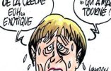 Ignace – Qui est l’auteur de l’attentat de Berlin ?