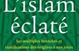 L’islam éclaté : ses multiples branches et ramifications (Henri de Saint-Bon)
