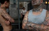 Minorités ethniques en prison, les solutions néo-zélandaises