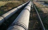 La fin des routards et des lignes low coast ?