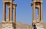 La destruction et la spoliation de Palmyre par les miliciens de Daesh continuent