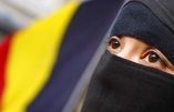 Craintes au sujet du développement du wahhabisme en Belgique