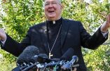 Ode à Amoris Laetitia par le cardinal préfet du dicastère pour la Famille