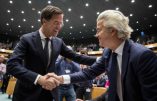 Elections – Le résultat de Geert Wilders préfigure-t-il celui de Marine Le Pen ?