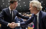 Elections – Le résultat de Geert Wilders préfigure-t-il celui de Marine Le Pen ?