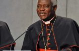 Cardinal Turkson : « L’immigration c’est comme l’eau qui coule du robinet : il ne faut pas seulement essuyer, mais fermer le robinet »