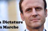 La dictature de la pensée unique, le grand cru 2017- Analyse