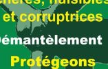 Campagne contre lés éoliennes, les nuisances et la corruption qui les accompagnent