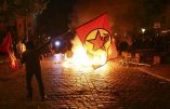 111 policiers blessés – Incroyables violences d’extrême gauche à Hambourg pour accueillir le G20