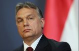 Hongrie, la grande intox du parlement européen « sur la violation des valeurs européennes »