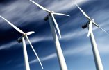 Eoliennes : reportage sur le scandale d’Etat