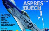 13 août 2017 : Fête de l’Air à Aspres sur Buëch