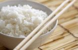 La Chine devient importatrice de riz américain