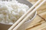 La Chine devient importatrice de riz américain