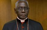 « Canonisation » de Paul VI : les louanges du cardinal Sarah