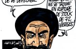 Ignace – Toujours plus de kamikazes islamistes