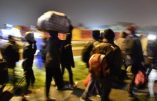 Paris – Un nouveau camp pour immigrés illégaux installé discrètement rue Lacretelle, dans le XVe arrondissement