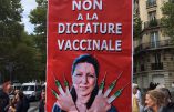 Ils manifestent contre la dictature vaccinale