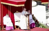 Futur synode en Amazonie : est-ce la porte ouverte à l’ordination d’hommes mariés ?