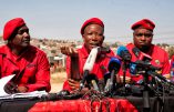 Afrique du Sud : rumeur de lancement du génocide pour fin novembre
