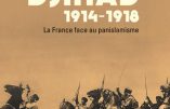 Djihad 1914-1918 (Jean-Yves Le Naour)