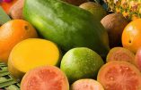 Les fruits tropicaux dopent l’économie des pays du Tiers-monde