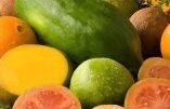 Les fruits tropicaux dopent l’économie des pays du Tiers-monde
