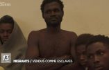 A diffuser en Afrique : vidéo d’immigrés vendus comme esclaves
