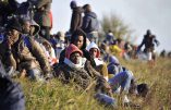 Commission européenne : « Nous veillerons à la sauvegarde des droits des Africains en Italie »